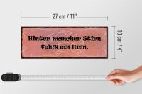 Holzschild Spruch 27x10cm hinter mancher Stirn fehlt Hirn