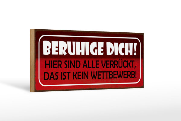 Holzschild Spruch 27x10cm beruhige dich hier sind alle verrückt
