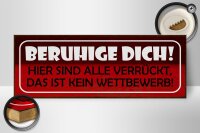 Holzschild Spruch 27x10cm beruhige dich hier sind alle verrückt
