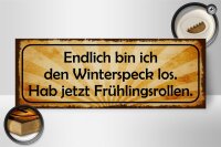Holzschild Spruch 27x10cm bin den Winterspeck los hab jetzt Frühlingsrollen