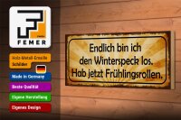Holzschild Spruch 27x10cm bin den Winterspeck los hab jetzt Frühlingsrollen