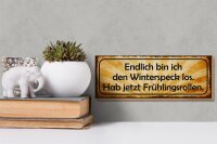 Holzschild Spruch 27x10cm bin den Winterspeck los hab jetzt Frühlingsrollen