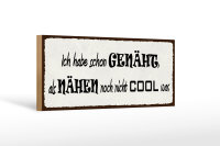 Holzschild Spruch 27x10cm habe genäht als Nähen...