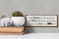 Holzschild Spruch 27x10cm nette Kollegen sind die an die