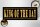 Holzschild Spruch 27x10cm King of the Day König des Tages