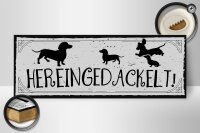 Holzschild Spruch 27x10cm Hereingedackelt!