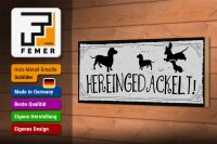 Holzschild Spruch 27x10cm Hereingedackelt!