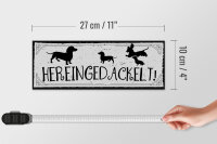 Holzschild Spruch 27x10cm Hereingedackelt!