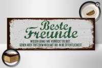 Holzschild Spruch Beste Freunde verrückt wissen genau 27x10cm
