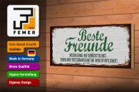 Holzschild Spruch Beste Freunde verrückt wissen genau 27x10cm