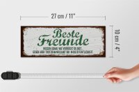 Holzschild Spruch Beste Freunde verrückt wissen genau 27x10cm