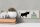 Holzschild Spruch Bullshit Corner Stier 27x10cm Wanddeko