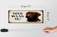 Holzschild Spruch 27x10cm holländisch Hier Waak ik brauner Labrador