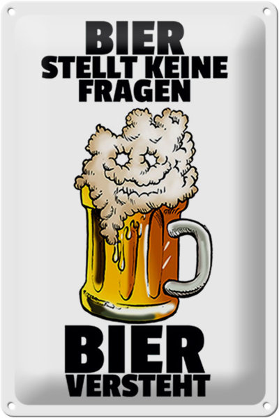 Blechschild Alkohol 20x30cm Bier stellt keine Fragen