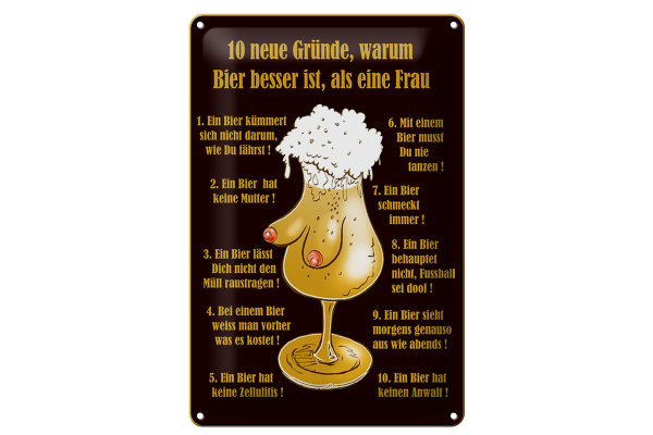 Blechschild Alkohol 20x30cm 10 Gründe Bier besser als Frau