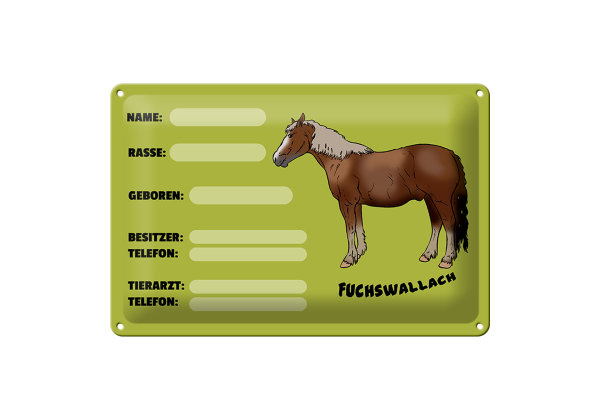 Blechschild Pferd 30x20cm Fuchswallach Name Besitzer Rasse