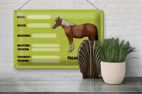 Blechschild Pferd 30x20cm Fuchswallach Name Besitzer Rasse
