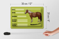 Blechschild Pferd 30x20cm Fuchswallach Name Besitzer Rasse