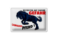 Blechschild Hinweis 30x20cm launisches Pferd Gefahr