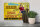 Blechschild Alkohol 30x20cm kühles Bier und junge Weiber