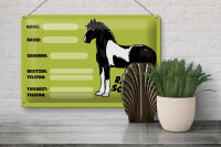 Blechschild Pferd 30x20cm Rappschecke Name Besitzer Rasse