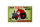Blechschild Spruch 30x20cm Traktor tropft nicht er markiert