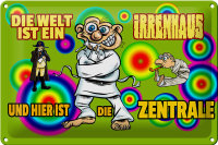 Blechschild Spruch 30x20cm Welt ist Irrenhaus hier ist...