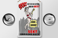 Blechschild Alkohol 20x30cm Sport, Sekt nackt besser aussehen