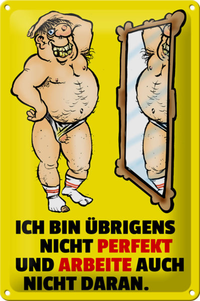 Blechschild Spruch 20x30cm Ich bin übrigens nicht perfekt