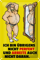 Blechschild Spruch 20x30cm Ich bin übrigens nicht perfekt