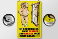 Blechschild Spruch 20x30cm Ich bin übrigens nicht perfekt