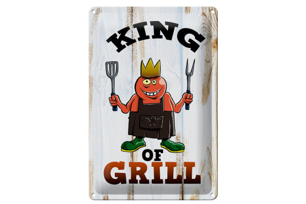 Blechschild Hinweis 20x30cm King of Grill