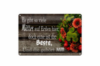 Blechschild Spruch 30x20cm es gibt viele Mütter doch...