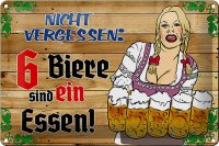 Blechschild Alkohol 30x20cm 6 Biere sind ein Essen
