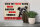 Blechschild Hinweis 30x20cm Hund dies ist mein Haus Garten