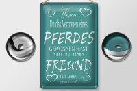 Blechschild Spruch 20x30cm Wenn du Vertrauen eines Pferd