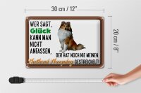 Blechschild Spruch 30x20cm Glück Shetland Sheepdog Hund