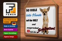 Blechschild Spruch 30x20cm ich hab den schönsten Hund