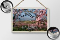 Blechschild Reise 18x12cm Mallorca Spanien Mandelblüten Dekoration