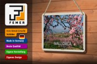 Blechschild Reise 18x12cm Mallorca Spanien Mandelblüten Dekoration