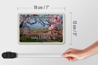 Blechschild Reise 18x12cm Mallorca Spanien Mandelblüten Dekoration