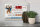 Blechschild Spruch 30x20cm und dann kam da ein Hund