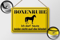 Blechschild Hinweis 30x20cm Boxenruhe nicht auf die Weide Pferd