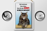 Blechschild Spruch 20x30cm Katze bei meinem Herrchen Chef