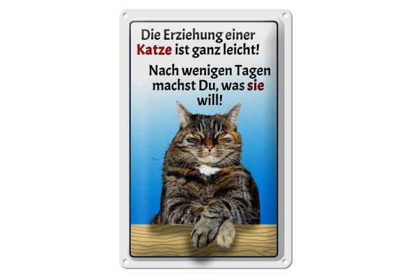 Blechschild Spruch 20x30cm die Erziehung einer Katze leicht
