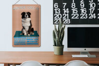 Blechschild Spruch 20x30cm Border Collie Hund intelligent