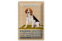 Blechschild Spruch 20x30cm Beagle Hund gutmütig...