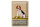 Blechschild Spruch 20x30cm Beagle Hund gutmütig liebt jeden