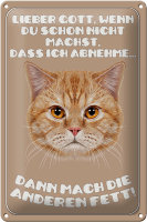 Blechschild Katze 20x30cm lieber Gott wenn du schon nicht