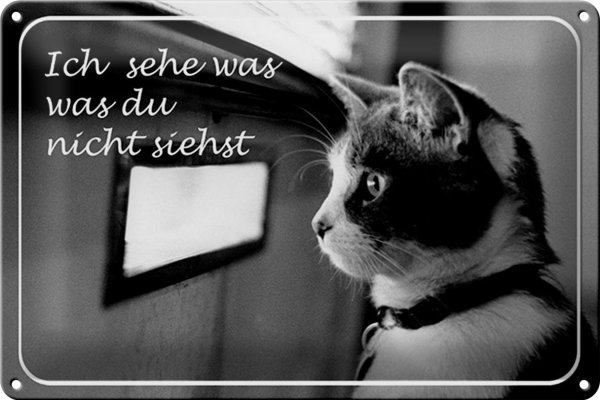 Blechschild Katze 30x20cm ich sehe was du nicht siehst